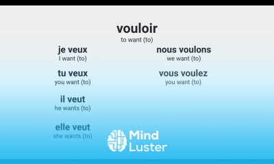 What is the present tense of the French verb vouloir