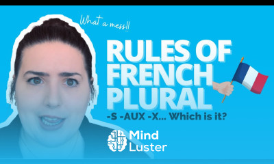 French plural rules explained  BEGINNER FRENCH LESSON