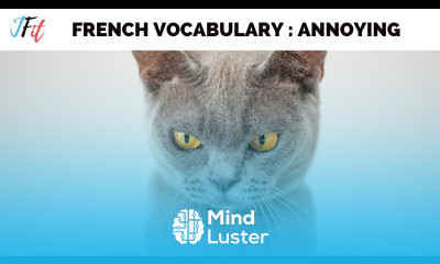 You re annoying in French 6 WAYS Vendredi Vocabulary