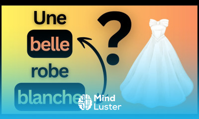 Grammaire A2 n°6 Where to Put the Adjectives