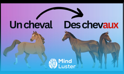 French for Beginners Lesson 11a Les noms au PLURIEL