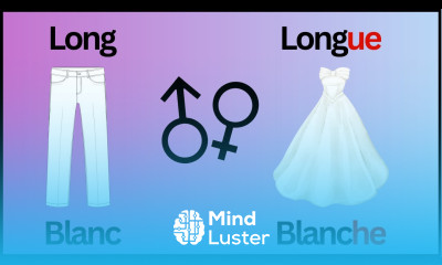 Grammaire A1 n°18 Genre Nombre des Adjectifs