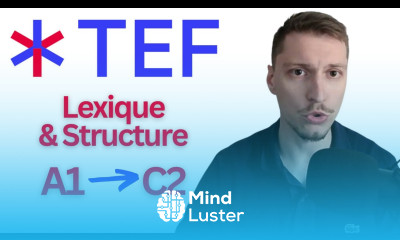 French TEF Exam Training Lexique Structure A1 to C2