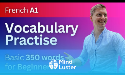 Learn French for Beginners Vocabulary Sentences A1