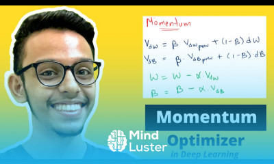 Momentum Optimizer in Deep Learning Explained in Detail