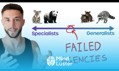 The Choice That Determines Your AI Agency s Fate