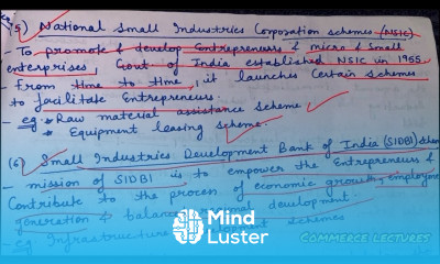 Government support system for encouraging entrepreneurs class 11 entrepreneurship notes