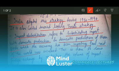 trade strategy of import substitution class 12 Indian economic development notes