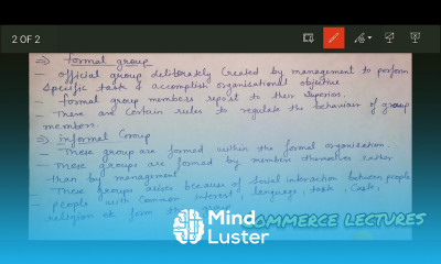 types of group in organisation small large formal informal business organisation management