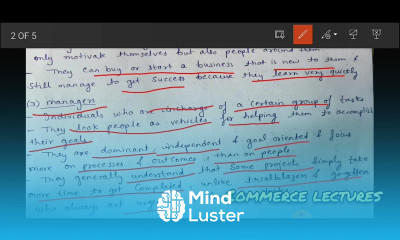 trailblazers go getters authoritarians collaborators diplomats types of entrepreneurs class 11