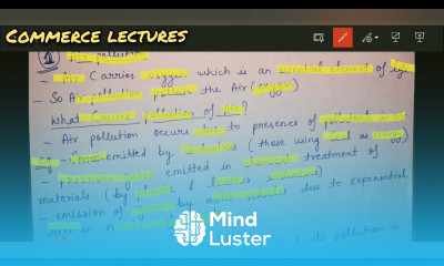 problems related to environment pollution air water noise class 12 Indian economy