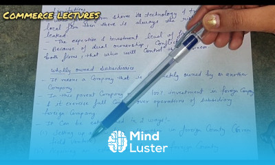 wholly owned subsidiary meaning advantages limitations international business class 11