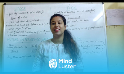 difference between stock and flow mutual dependence between stock and flow class 12 macro