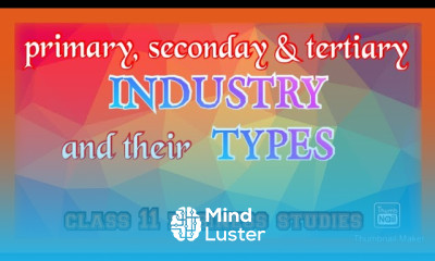 Industry primary secondary and tertiary classification of business activities class 11