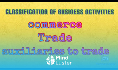Commerce trade auxiliary to trade classification of business activities class 11