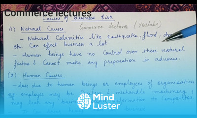 Causes of business risk and types of business risk class 11 business studies