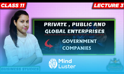 Government company features advantages disadvantages suitability class 11 business studies