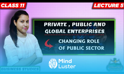 changing role of public sector government policy towards public sector since 1991 class 11