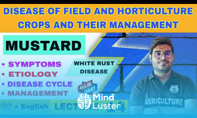 white rust disease in mustard mustard disease