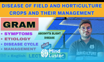 Ascohyta blight disease in gram gram disease