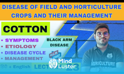 Black Arm Disease in Cotton cotton disease
