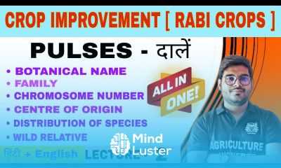 Rabi pulses crop information crop improvement rabi crops bsc ag 6th semester