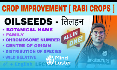 Rabi oilseed crop information crop improvement rabi crops bsc ag 6th semester
