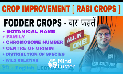 Rabi fodder crop information crop improvement rabi crops bsc ag 6th semester