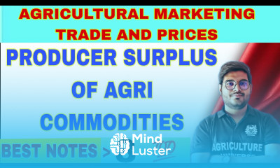 producer surplus of agri commodities agricultural marketing trade and prices
