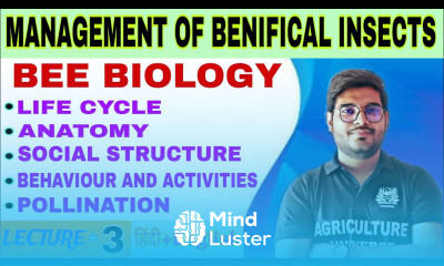 Bee Biology management of benifical insects bsc ag 5th semester bee biology lifecycle