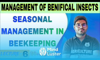 seasonal management in beekeeping management of benifical insects bsc ag 5th semester