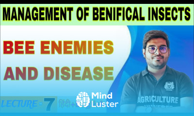 bee enemies and disease management of beneficial insects bee enemies and disease