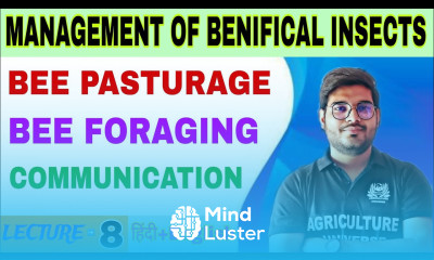 bee pasturage bee forging communication management of beneficial insects
