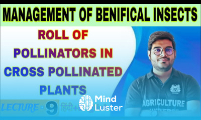 roll of pollinators in cross polllinated plants management of benificial insect bsc ag 5th sem