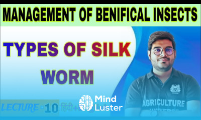 types of silk worm management of beneficial insects bsc ag 5th semester