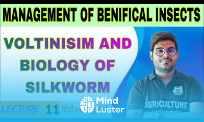 voltinisim and biology of silkworm bsc ag 5th semester management of benificial insect