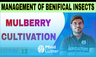 mulberry cultivation management of benificial insect bsc ag 5th semester