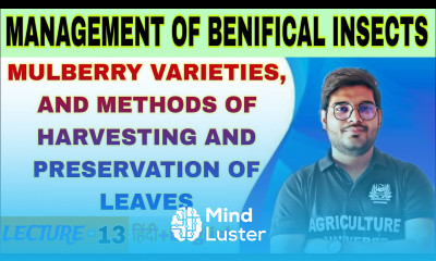 mulberry varieties and methods of harvesting and preservation of leaves