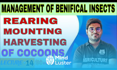 rearing mounting and harvesting of cocoons management of benificial insect bsc ag 5h semester