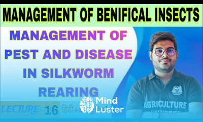 management of pest and disease in silkworm rearing management of benificial insect Bsc ag 5th
