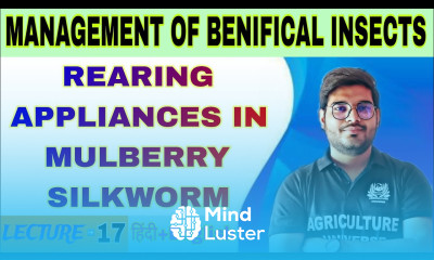 rearing appliances in mulberry silkworm rearing management of benificial insect bsc ag 5th sem
