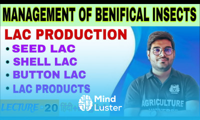 lac production seed lac shellac button lac lac products management of Benificial insect