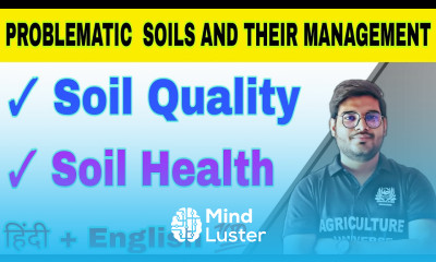 soil quality and soil health problematic soil and their management what is soil quality
