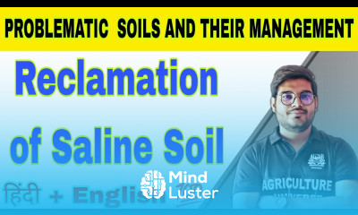 reclamation of saline soil लवणीय मिट्टी का सुधार problematic soil and their management