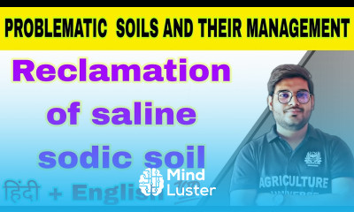 reclamation of saline sodic soil problematic soil and their management