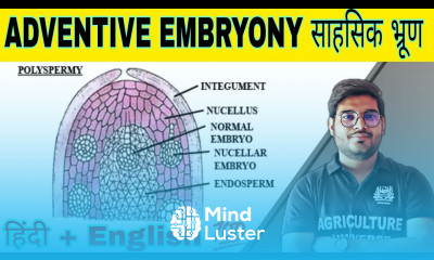 define adventive embryony adventive embryony kya hai adventive embryony in hindi