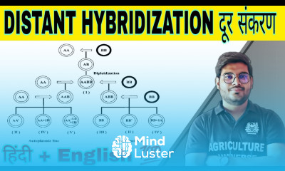 define distant hybridization दूर संकरण distant hybridization kya hai distant hybridization