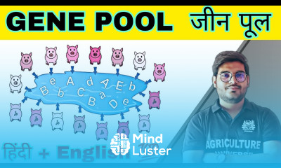 what is gene pool defination gene pool gene pool kya hai gene pool in hindi gene pool