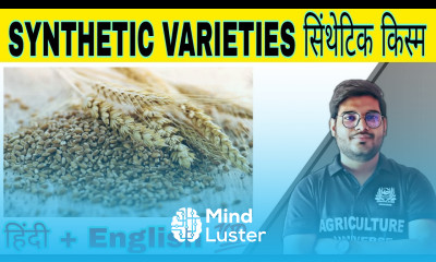 define synthetic variety सिंथेटिक किस्म what is synthetic variety synthetic variety in hindi