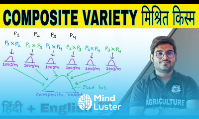 define composite variety मिश्रित किस्म what is composite variety composite variety in hindi